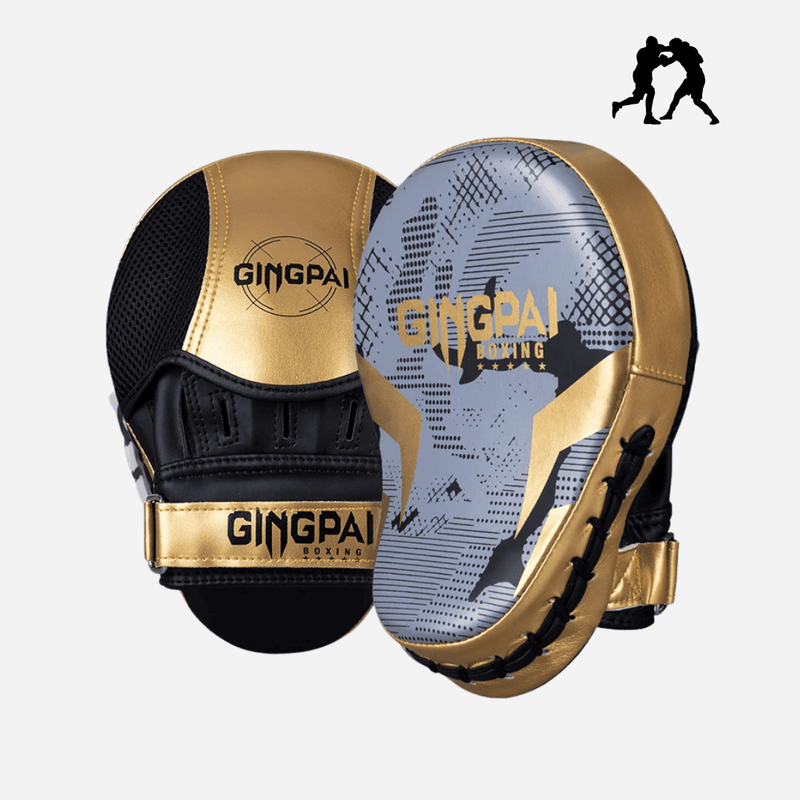 Manopla profissional boxe - Cor Cinza e dourado