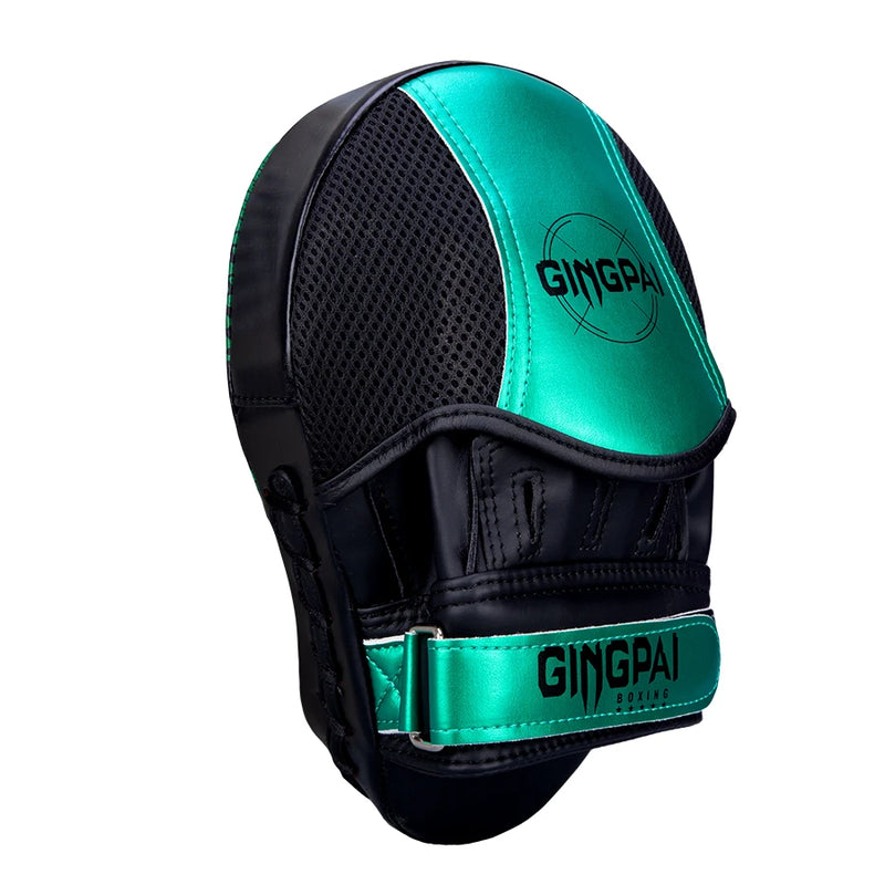 Manopla profissional boxe - Cor Verde e Preto